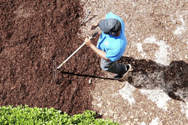 Fertilising and mulching soil