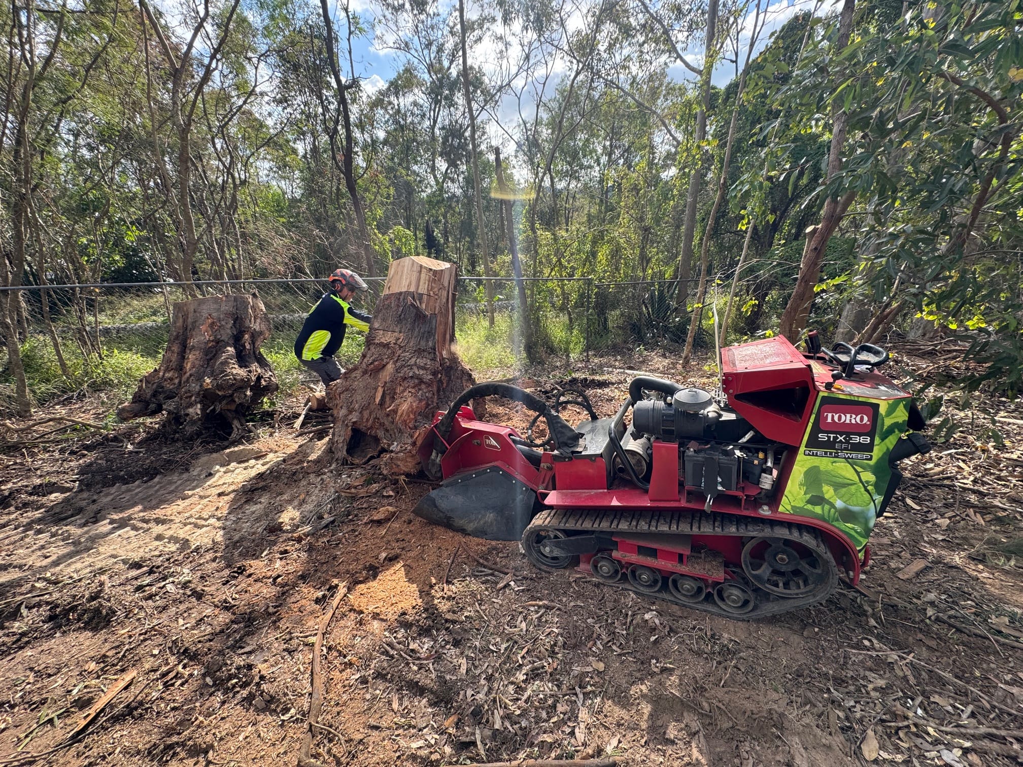 Arborist using Toro STX-38 to grind large tree stumps in a bushland area on the Gold Coast